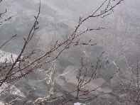 rra delle Concazze-20100425 029